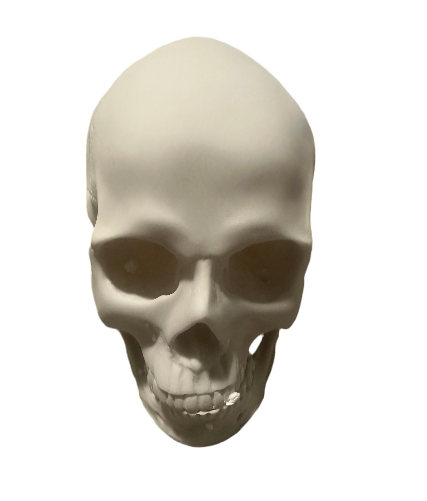 Halloween Decor